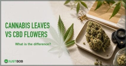 Justbob featured banner for Cannabis Leaves vs CBD Flowers: What Is The Difference?, with green title overlay and hemp editorial background