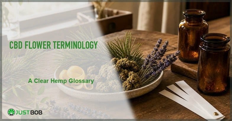 Justbob featured banner for CBD Flower Terminology: A Clear Hemp Glossary, with green title overlay and hemp editorial background