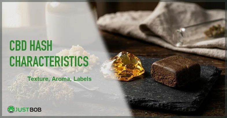 Justbob featured banner for CBD Hash Characteristics: golden CBD extract chunk, dark hash block, white powder pile and dried hemp bud on dark slate