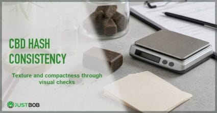 Justbob featured banner for CBD Hash Consistency: hash block and crumble, digital scale, glass jar, clipboard and empty vial on cream desk