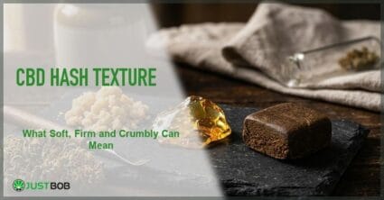 Justbob featured banner for CBD Hash Texture: What Soft, Firm and Crumbly Can Mean, with green title overlay and hemp editorial background