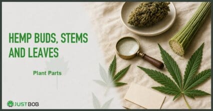 Justbob featured banner for Hemp Buds, Stems And Leaves: bud, cut stem pieces, fan leaves and brass loupe on cream linen
