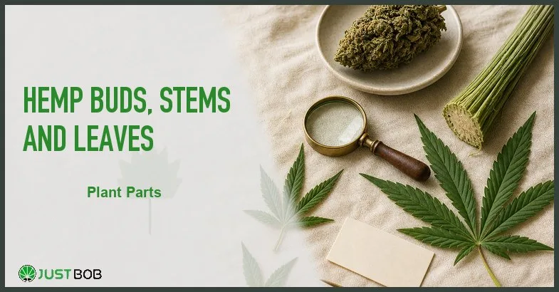 hemp-buds-stems-leaves Justbob featured banner for Hemp Buds, Stems And Leaves: bud, cut stem pieces, fan leaves and brass loupe on cream linen