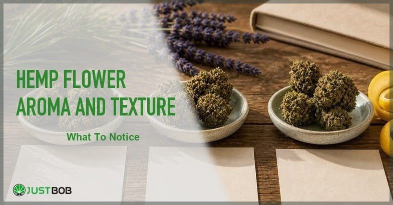 Justbob featured banner for Hemp Flower Aroma And Texture: three ceramic dishes of CBD buds, lavender, lemon peel, pine sprig and blank papers on dark wood