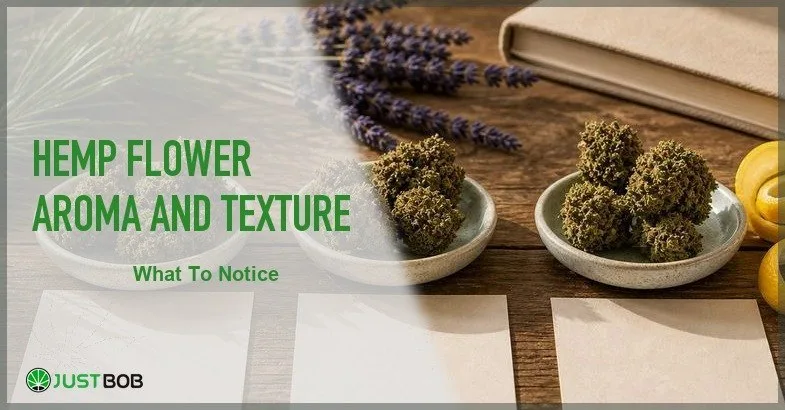 Justbob featured banner for Hemp Flower Aroma And Texture: three ceramic dishes of CBD buds, lavender, lemon peel, pine sprig and blank papers on dark wood