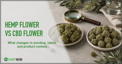 Justbob featured banner for Hemp Flower Vs CBD Flower: two hemp flower bowls, brass magnifying glass and olive sprigs on cream desk