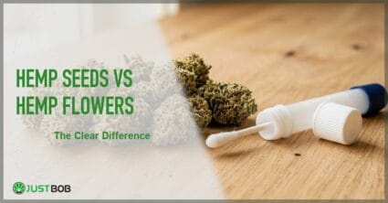 Justbob featured banner for Hemp Seeds vs Hemp Flowers: The Clear Difference, with green title overlay and hemp editorial background