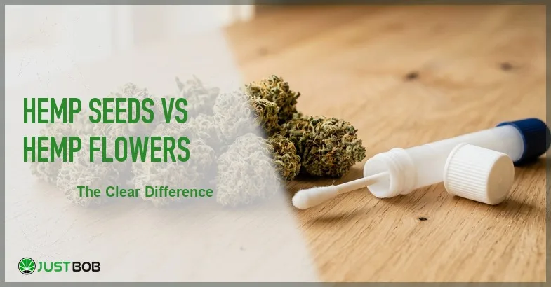 Justbob featured banner for Hemp Seeds vs Hemp Flowers: The Clear Difference, with green title overlay and hemp editorial background