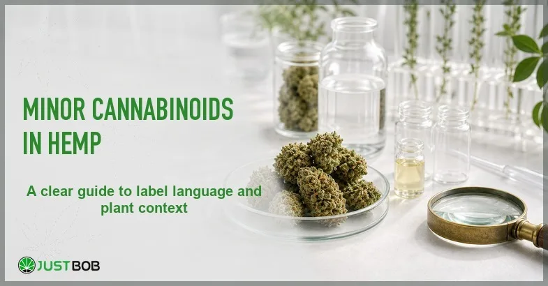 Justbob featured banner for Minor Cannabinoids In Hemp: petri dish with buds, clear glass vials, brass magnifying glass and test tubes with sprigs