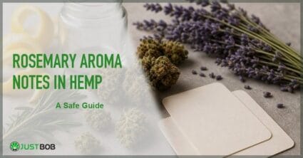 Justbob featured banner for Rosemary Aroma Notes In Hemp: rosemary sprigs, lavender bunch, CBD bud, lemon peel curl, blank cards and glass vase