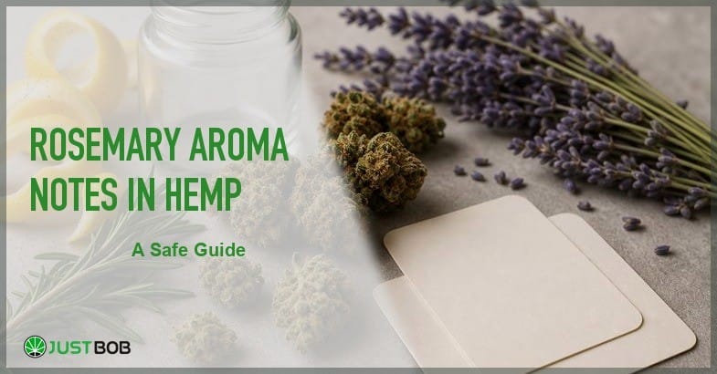 Justbob featured banner for Rosemary Aroma Notes In Hemp: rosemary sprigs, lavender bunch, CBD bud, lemon peel curl, blank cards and glass vase