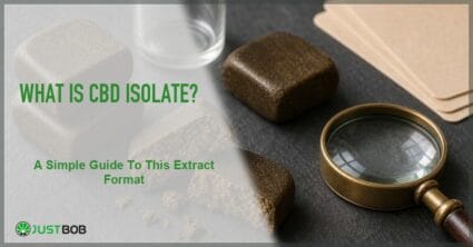 Justbob featured banner for What Is CBD Isolate? A Simple Guide To This Extract Format, with green title overlay and hemp editorial background