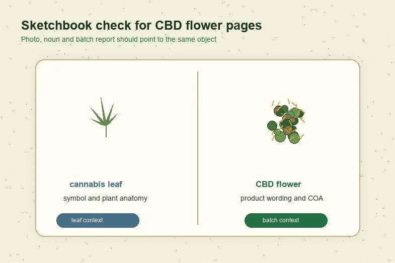 cbd-flower-leaf-sketchbook-check Sketchbook comparison of cannabis leaf context and CBD flower batch context