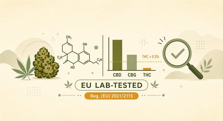 cbd-small-buds-lab-analysis-eu-coa Flat vector lab-analysis schema for Small Buds: hemp bud, cannabinoid molecule, CBD-CBG-THC bar chart with THC under 0.3% and an EU badge
