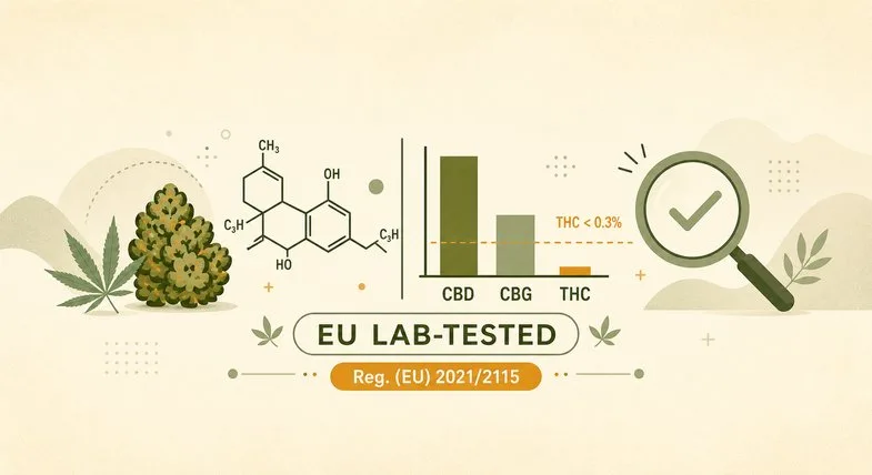 cbd-small-buds-lab-analysis-eu-coa Flat vector lab-analysis schema for Small Buds: hemp bud, cannabinoid molecule, CBD-CBG-THC bar chart with THC under 0.3% and an EU badge