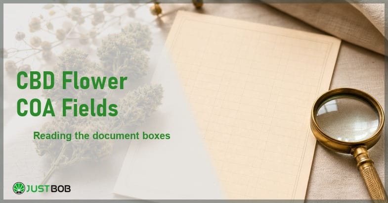 Justbob CBD Flower COA Fields banner with green title, hemp flower buds and a blank ruled document sheet on cream linen