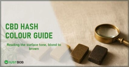 Justbob CBD Hash Colour Guide banner with green title, CBD hash pieces from blond to dark brown and a brass loupe on cream linen