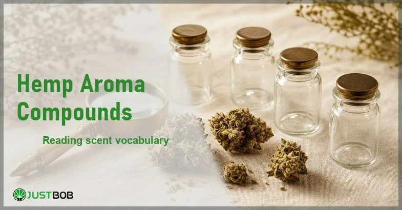 featured-hemp-aroma-compounds Justbob Hemp Aroma Compounds banner with green title, hemp flower buds and small empty glass aroma vials on cream linen