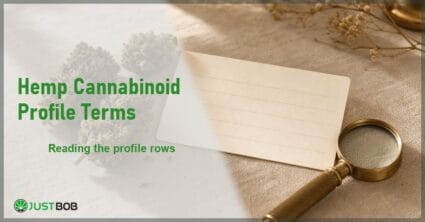 Justbob Hemp Cannabinoid Profile Terms banner with green title, hemp flower buds and a blank row-ruled card on cream linen