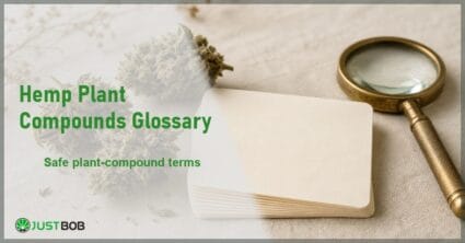 Justbob CBD Oil Label Storage Notes banner with green title, a closed amber oil bottle and a brass loupe on cream linen