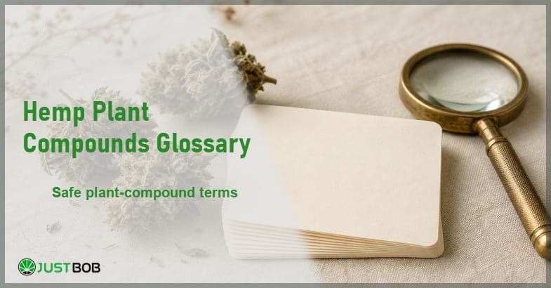 Justbob Hemp Plant Compounds Glossary banner with green title, hemp flower buds and blank index cards on cream linen