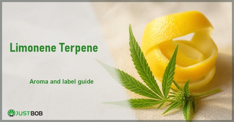 limonene-terpene-guide Justbob Limonene Terpene Guide banner with green title, a curl of lemon peel beside a hemp sprig on cream linen