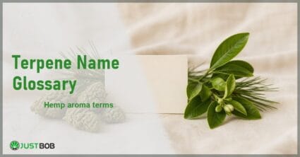 Justbob Terpene Name Glossary banner with green title, hemp flower buds, a blank glossary card and sprigs of citrus and pine on cream linen