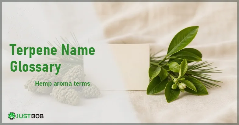 Justbob Terpene Name Glossary banner with green title, hemp flower buds, a blank glossary card and sprigs of citrus and pine on cream linen