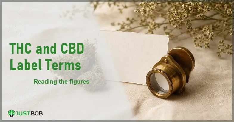 Justbob THC CBD Label Terms banner with green title, hemp flower buds and a blank product label on cream linen
