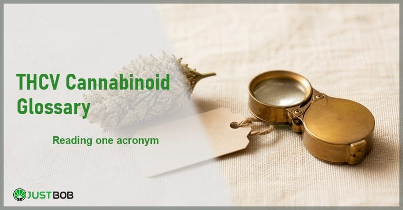 Justbob THCV Cannabinoid Glossary banner with green title, a single hemp flower bud and a blank paper tag on cream linen