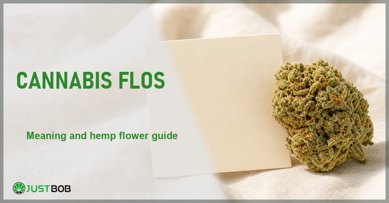 what-is-cannabis-flos Justbob Cannabis Flos banner with green title, a hemp flower bud and a blank glossary card on cream linen