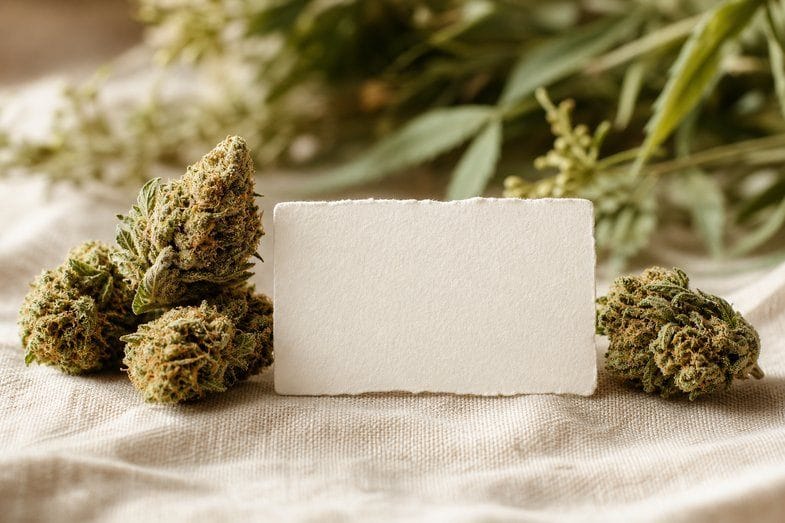 Hemp flower buds beside a blank product label on cream linen
