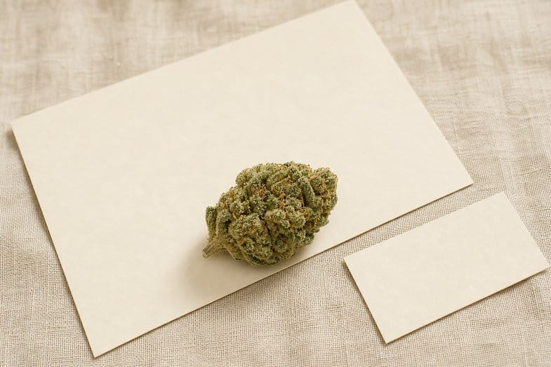 role-marijuana-resin-documents A resinous hemp flower bud beside a blank certificate sheet and a blank glossary card on cream linen