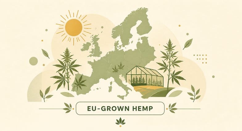 Flat vector illustration of an outline map of Europe with hemp plants, a greenhouse and a sun, labelled EU-grown hemp
