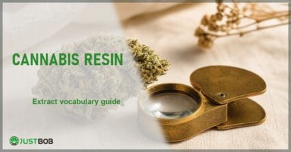 Justbob Cannabis Resin banner with green title, a resinous hemp flower bud and a brass loupe on cream linen
