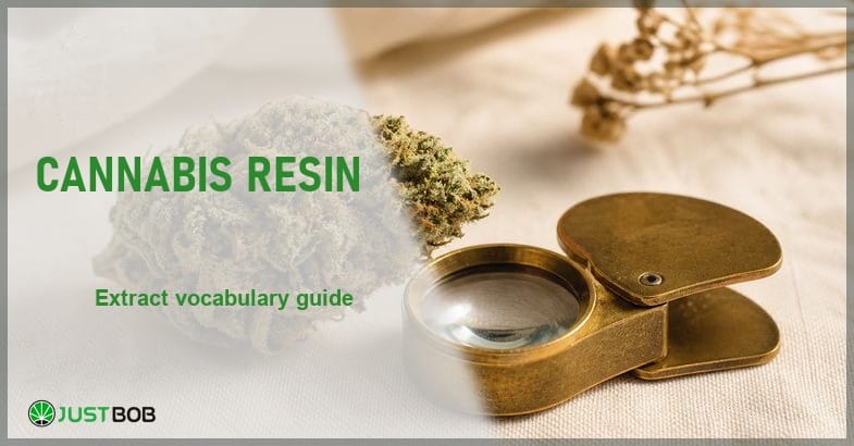 Justbob Cannabis Resin banner with green title, a resinous hemp flower bud and a brass loupe on cream linen