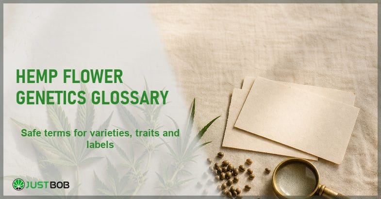Justbob Hemp Flower Genetics Glossary banner with green title, blank specimen cards, a few hemp seeds and a brass loupe on cream linen