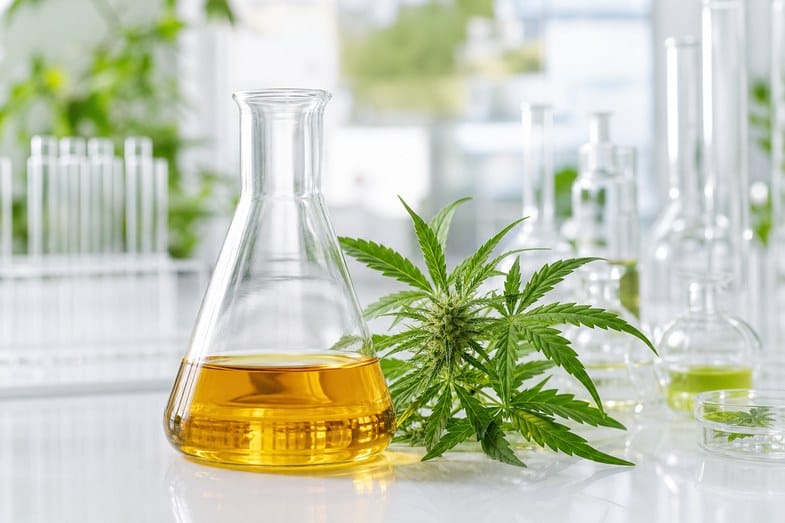 cbd-oil-vs-cbd-flower-documents A glass laboratory flask of golden hemp extract beside a fresh green hemp plant on a bright lab bench