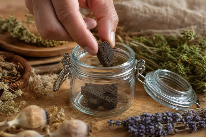 how-to-preserve-hashish-documents A hand placing a piece of dark CBD hash into a clear glass preserving jar with dried botanicals