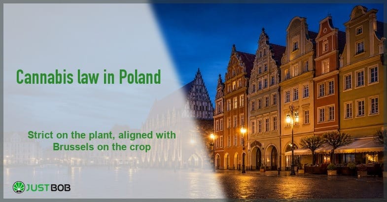 is-weed-legal-in-poland Justbob Poland banner with green title beside gabled townhouses on a wet cobbled square at blue hour