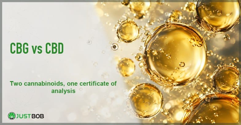 Justbob green banner title beside an abstract macro of golden oil droplets suspended in clear liquid