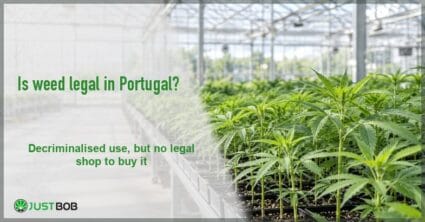 Justbob green banner title over a bright greenhouse of young hemp seedlings under a glass roof