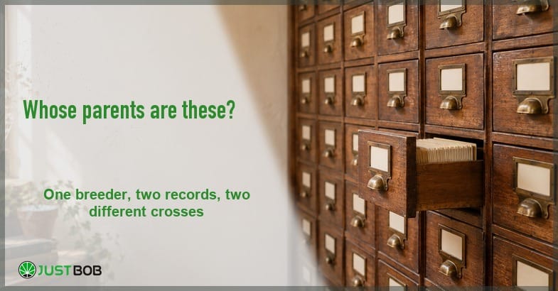 featured-sherb-cake-strain Wooden card index cabinet with brass pulls and one drawer pulled open, article title in green on the left panel