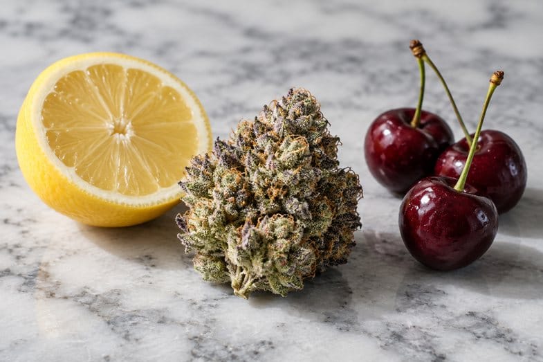 lemon-cherry-runtz-strain-bud-detail Cannabis bud with violet tinged calyxes on grey veined marble beside a halved lemon and three dark cherries